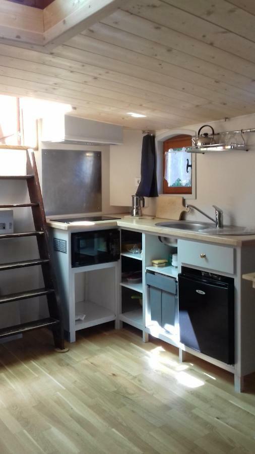 Studio Sur Peniche La Tortue Ramonville-Saint-Agne Zewnętrze zdjęcie